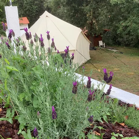 Kemp Glamping De Cerveira Vila Nova de Cerveira